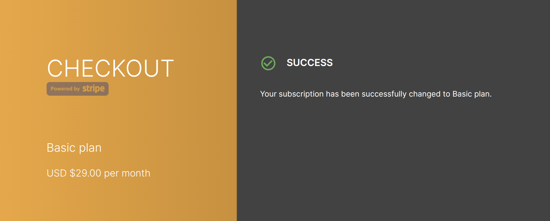 Checkout Success